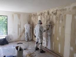 Mold Odor Removal Services in Union Beach, NJ